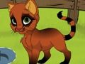 Spel Min kattunge  på nätet