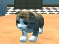Spel Cat Simulator: Kitty Craft! på nätet