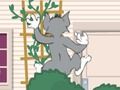 Spel Tom och Jerry: Wasserbomben Wahnsinn  på nätet