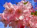 Spel Pussel: Blommor  på nätet