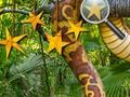 Spel Jungle Hidden Stars på nätet