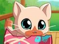Spel Mina Pocket Pets Kitty Cat på nätet