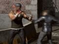 Spel Raging Punch 3D på nätet