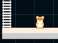 Spel Smart hamster: Jämn och udda  på nätet