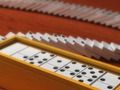 Spel Domino -multiplayer på nätet