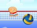 Spel Volleyboll på nätet