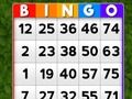 Spel Bingo på nätet
