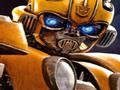 Spel Bumblebee: Hidden Fragments  på nätet