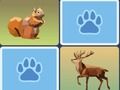 Spel Wild Memory Match på nätet