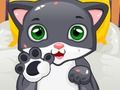 Spel Little Cat Doctor på nätet
