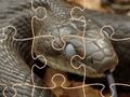 Spel Mysterious Snakes: Pussel  på nätet