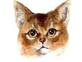 Spel Abyssinian Puzzle Challenge på nätet