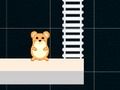 Spel Smart Hamster Time  på nätet