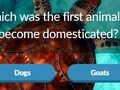 Spel Animalisk trivia på nätet