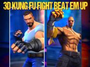 Spel 3d Kung Fu Fight slog dem på nätet