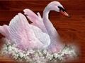 Spel Love Birds Puzzle på nätet