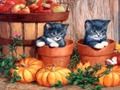 Spel Halloween målning  på nätet