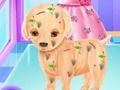 Spel Baby Elsa valpkirurgi på nätet Spel Baby Elsa valpkirurgi på nätet