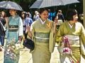 Spel 100 fjärilar i Japan  på nätet