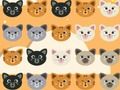 Spel Söt Kitty Match 3  på nätet