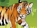Spel Arg tigerfärgning på nätet