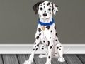 Spel Veterinärläkare Escape 2  på nätet