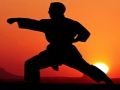 Spel Karate Sunset Warriors på nätet