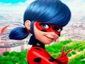 Spel LadyBug pusselsamling  på nätet