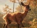 Spel Safari Jeep Car Parking Sim: Jungle Adventure på nätet