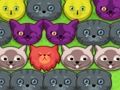 Spel Pop-pop kattungar  på nätet
