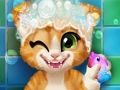 Spel Rostigt kattungebad  på nätet