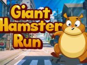 Spel Jättehamsterkörning på nätet