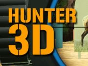 Spel Hunter 3D på nätet