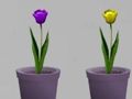 Spel LÀkare Linda Escape pÄ nÀtet Spel LÀkare Linda Escape pÄ nÀtet
