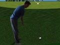 Spel Flash Golf 3D  på nätet