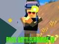 Spel Pixel Battlegrounds. IO  på nätet
