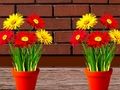 Spel Blomsterhus fly på nätet