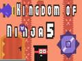 Spel Kingdom of Ninja 5 på nätet