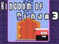 Spel Kingdom of Ninja 3 på nätet