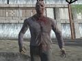 Spel Dark Forest Zombie Survival Fps på nätet