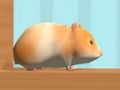 Spel Hamster Maze Online på nätet