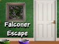 Spel Falconer fly på nätet