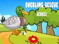 Spel Duckling Rescue Series 2  på nätet