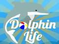 Spel Delfinliv  på nätet