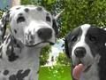 Spel Hundsimulator 3d  på nätet