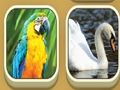 Spel Match Zoo på nätet