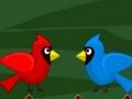 Spel TOCO TOUCAN fly på nätet