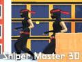 Spel Sniper Master 3D på nätet