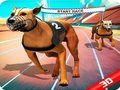 Spel Crazy Dog Race på nätet