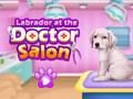 Spel Labrador på läkarsalongen  på nätet